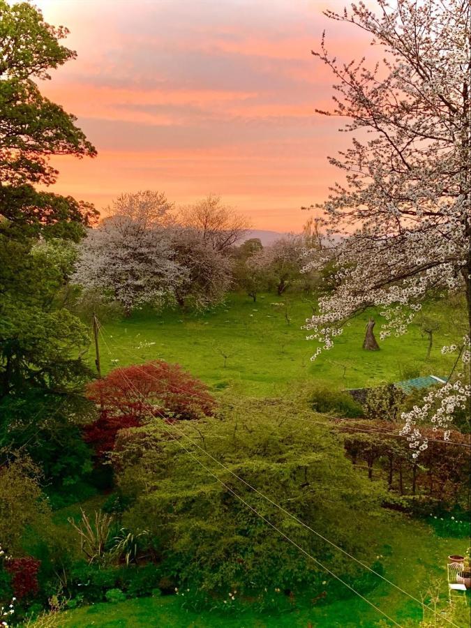 The Ruin Luxury B&B Falkland Bagian luar foto