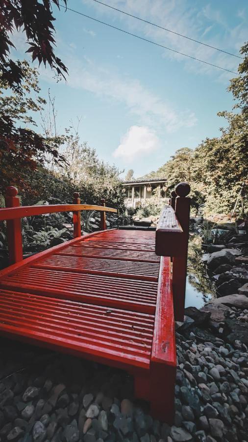 The Ruin Luxury B&B Falkland Bagian luar foto